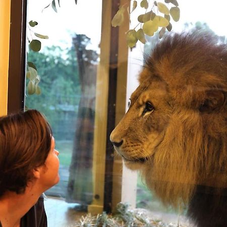 Big Cat Bungalows At The Haven - Lion 2 Canastota Zewnętrze zdjęcie